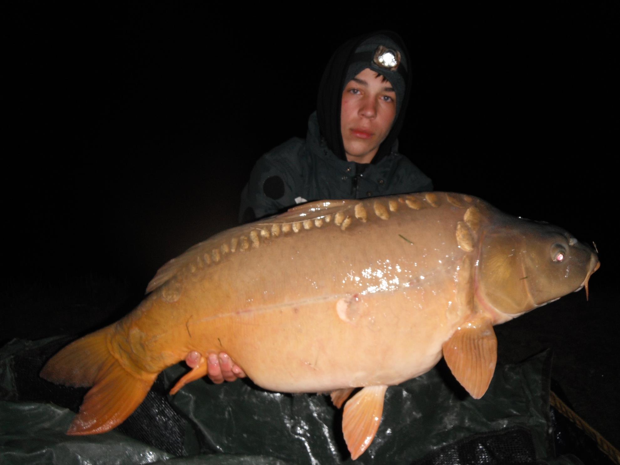 Martie 2013 - Harsany - Martie 2013